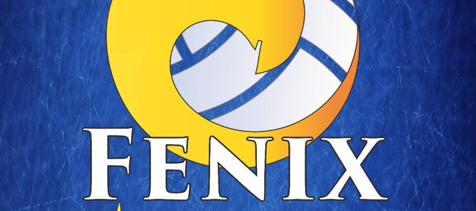 LOGO FENIX